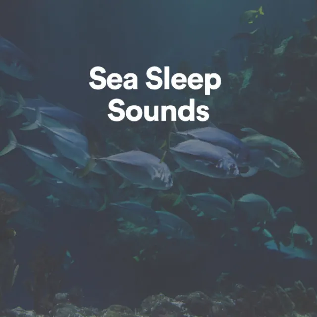 Sea Sleep Sounds