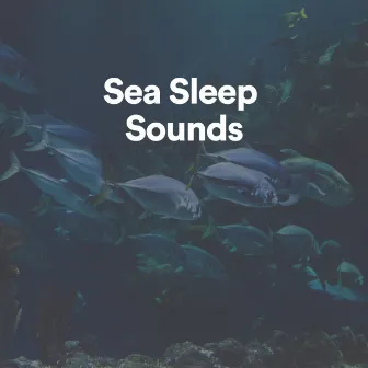 Sea Sleep Sounds by Sea of Waves