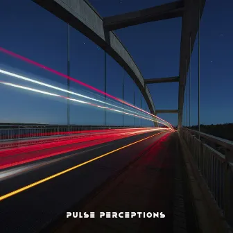 Pulse Perceptions by Sean Duff