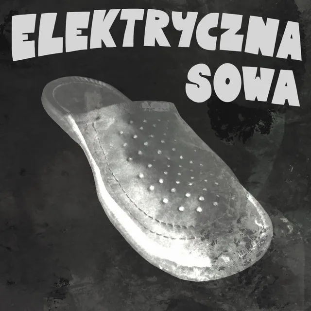 Elektryczna Sowa