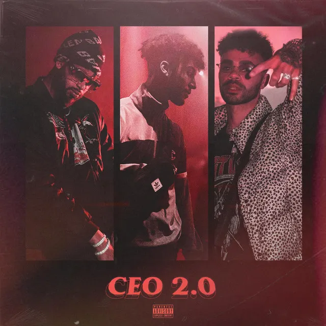 CEO 2.0