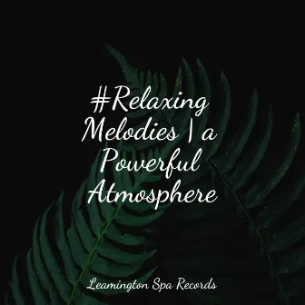 #Relaxing Melodies | a Powerful Atmosphere by Relaxamento