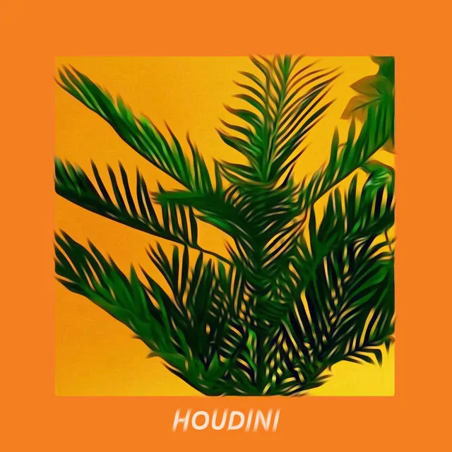 Houdini