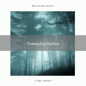 Tranquilos Ruidos by Ruido De Colores