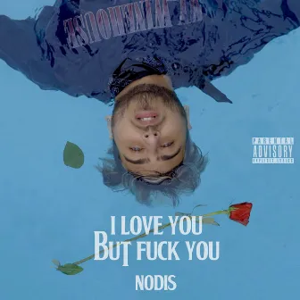 I LOVE YOU BUT FUCK YOU by Nodis