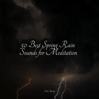 50 Best Spring Rain Sounds for Meditation by Unknown Artist