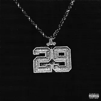 29 by Bankrol Hayden