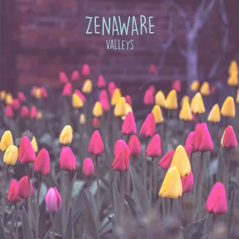 Valleys by ZenAware