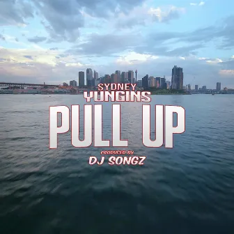 Pull Up by Sydney Yungins