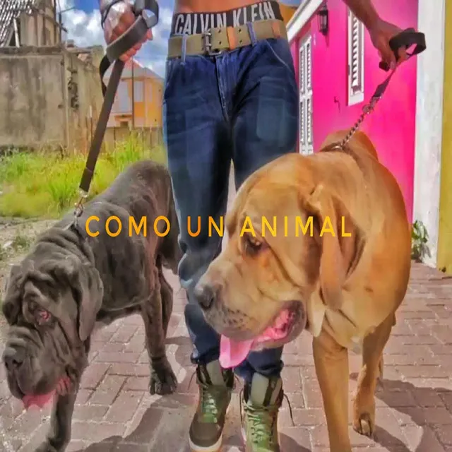 Como un Animal (feat. Woody, Alex Sargo & Steve Andreas)