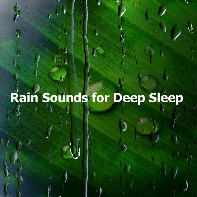 Rain Sounds for Deep Sleep