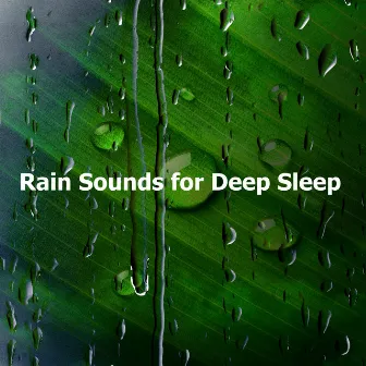 Rain Sounds for Deep Sleep by Unknown Artist