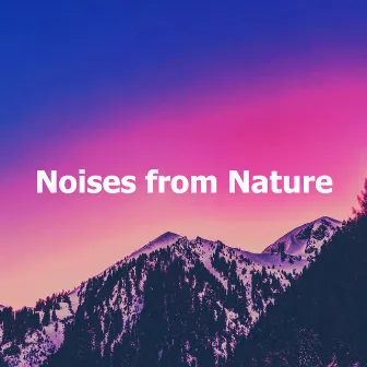 Noises from Nature by Bruits Naturel