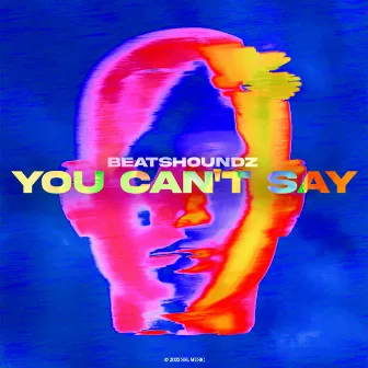 You Can't Say by BeatsHoundz