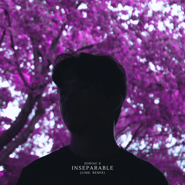 Inseparable - LIME. Remix