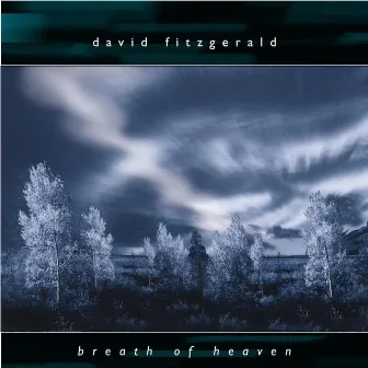 Breath of Heaven by David Fitzgerald