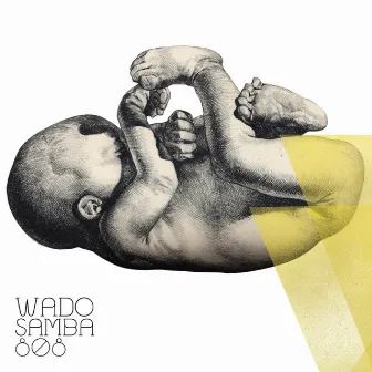 Samba 808 by Wado