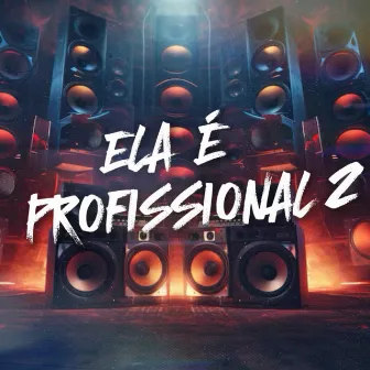 Ela É Profissional 2 by DoisT.