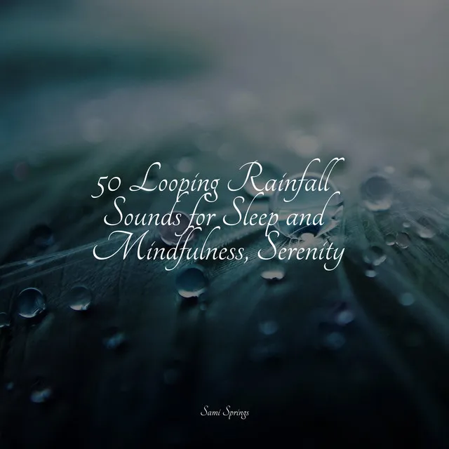 50 Looping Rainfall Sounds for Sleep and Mindfulness, Serenity