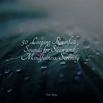 50 Looping Rainfall Sounds for Sleep and Mindfulness, Serenity by Tibetan Singing Bowls for Relaxation