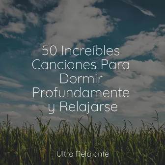 50 Increíbles Canciones Para Dormir Profundamente y Relajarse by Canciones Infantiles Para Niños