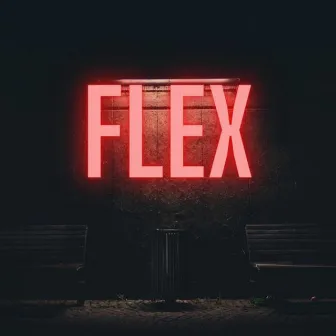 FLEX by Brandon Hartman