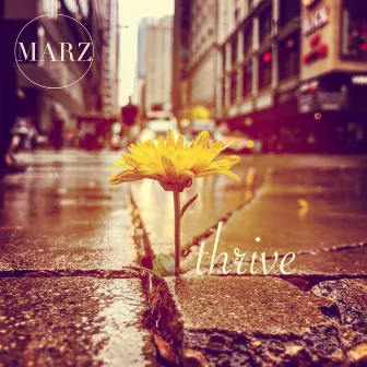 Thrive by Marz