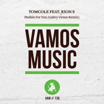 Pushin for You (Gabry Venus Remix) by TomCole