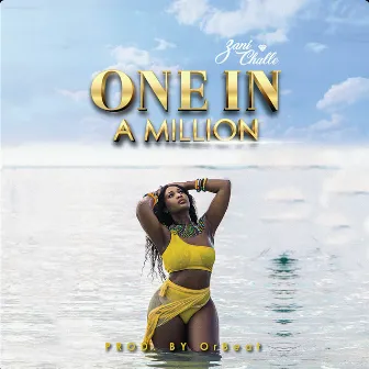 One in a Million by Zani Challe