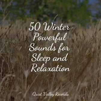 50 Winter Powerful Sounds for Sleep and Relaxation by Namaste Yoga