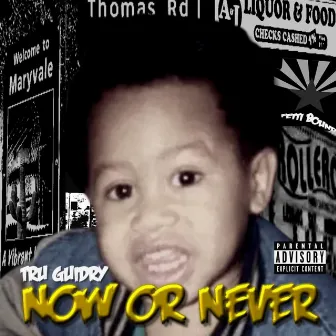 Now or Never by Tru Guidry