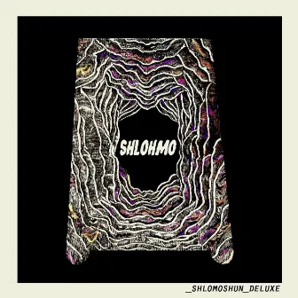 Shlomoshun Deluxe by Shlohmo