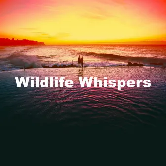 Wildlife Whispers by Forest Wind Sounds