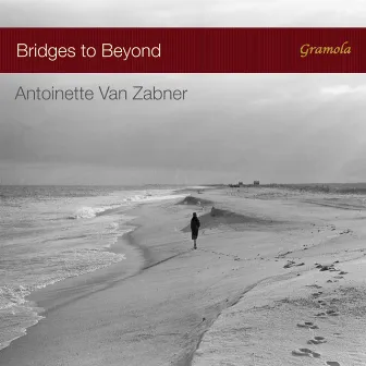 Bridges to Beyond by Antoinette van Zabner