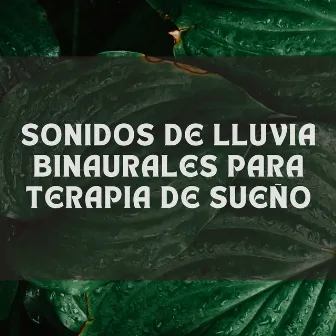 Sonidos De Lluvia Binaurales Para Terapia De Sueño by Dormir Ruido Relajarse