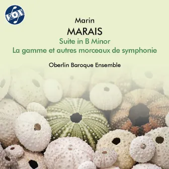 Marais: Pièces de viole, Suite No. 5 in B Minor, Book 2 & La gamme et autres morceaux de symphonie by Oberlin Baroque Ensemble