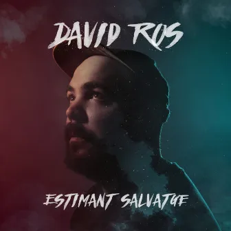 Estimant Salvatge by David Ros