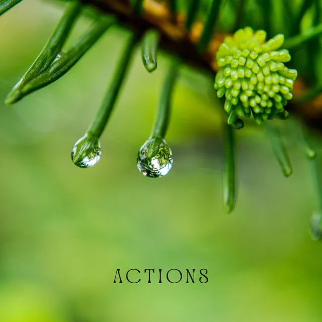 Actions