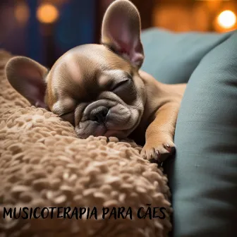 Musicoterapia para cães: recuperação de traumas e alívio do estresse by Doggy Music!