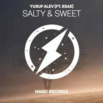 Salty & Sweet by ESAE