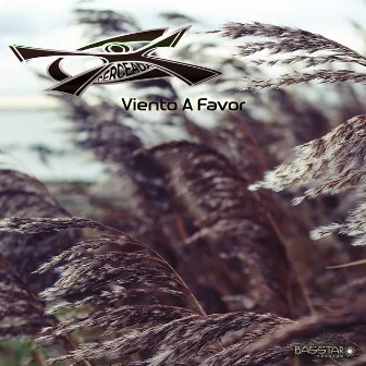 Viento A Favor by Cerceaux