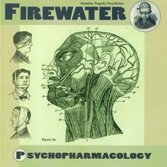 Psychopharmacology by Firewater