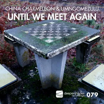 Until We Meet Again by UMngomezulu