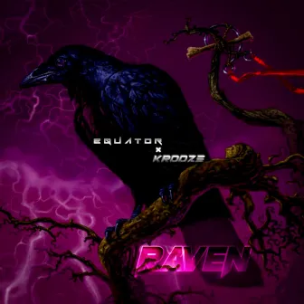 Raven by Equator