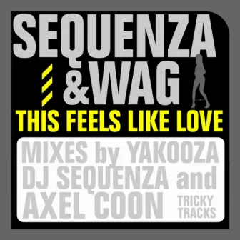 This Feels Like Love by Sequenza