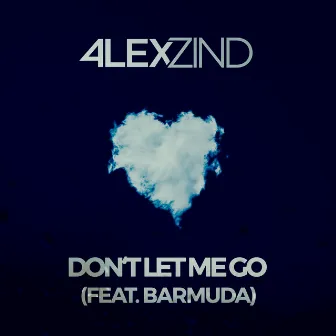 Don't Let Me Go by Alex Zind