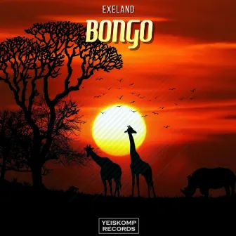 Bongo by Exeland