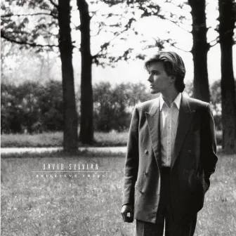 Brilliant Trees (Remastered 2003) by David Sylvian