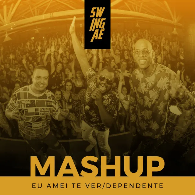 Mashup (Eu Amei te Ver / Dependente)