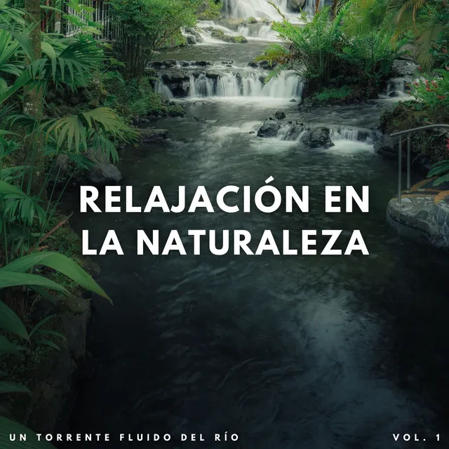 Relajación En La Naturaleza: Un Torrente Fluido Del Río Vol. 1